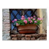 Cat Nap (Front Horizontal)