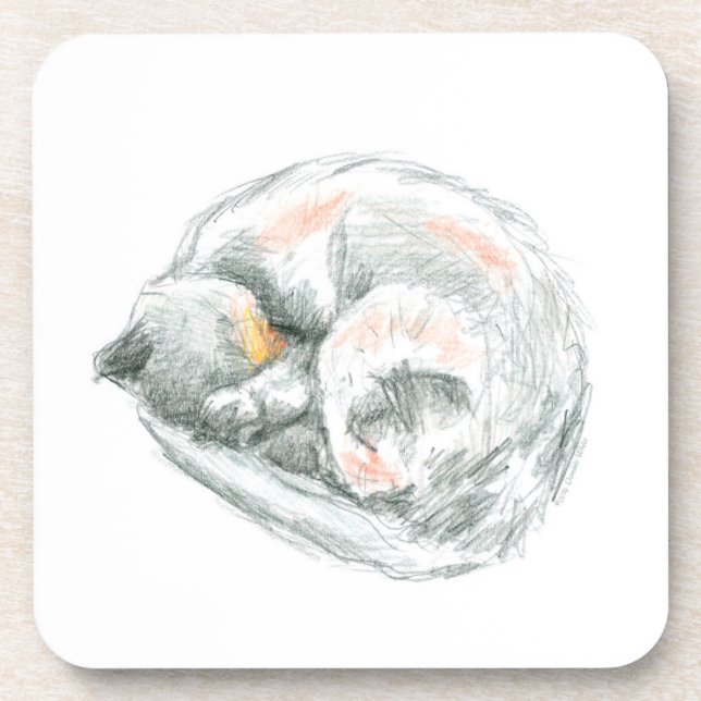 Cat Nap Beverage Coaster (Front)