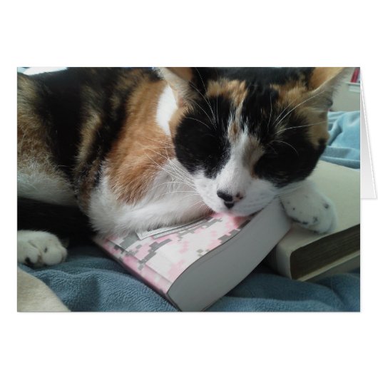 cat nap cards (Front Horizontal)