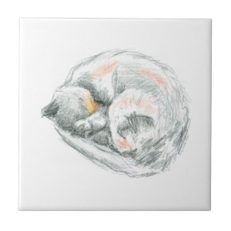 Cat Nap Decorative Tile