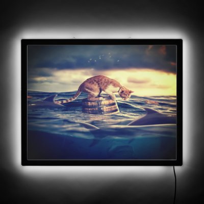 Cat Nap Dream or Nightmare