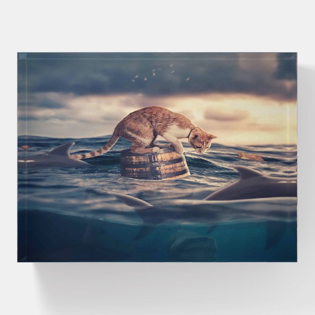 Cat Nap Dream or Nightmare Paperweight (Front)