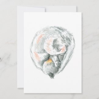 Cat Nap Invitations & Announcements