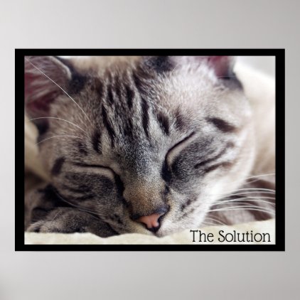 Cat Nap Is the Solution Poster