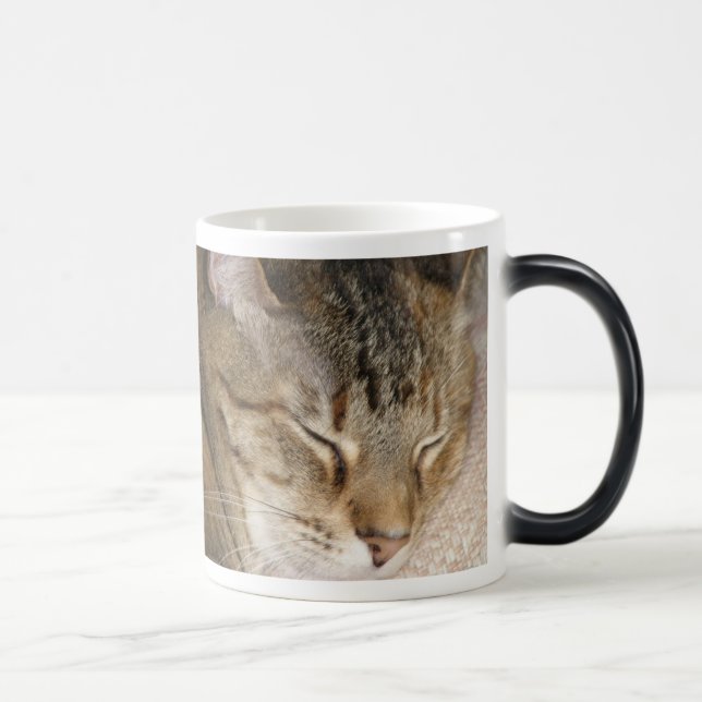 Cat Nap Morph Cup (Right)