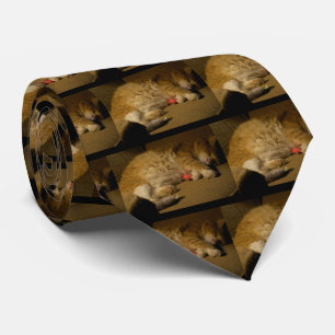 Cat Nap Neck Tie