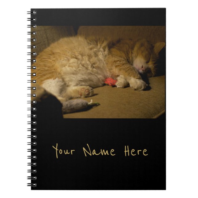 Cat Nap Notebook (Front)
