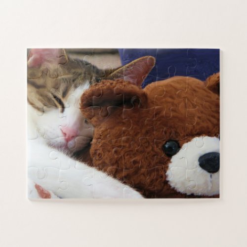 Cat Nap Teddy Jigsaw Puzzle