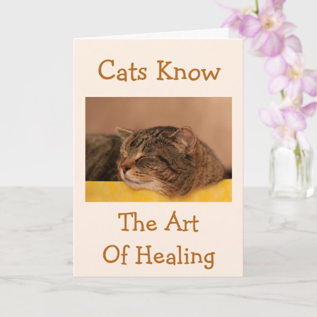Cat Nap Wisdom Get Well Card (Orchid)