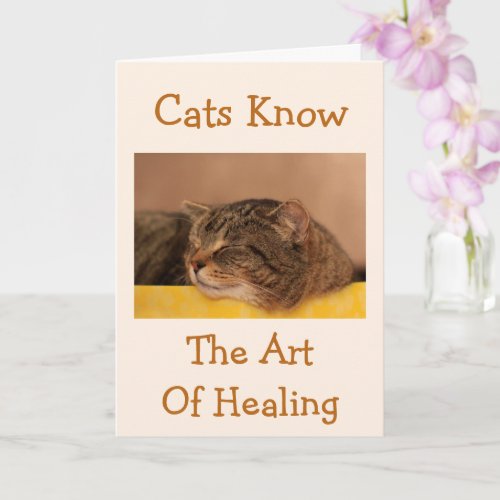 Cat Nap Wisdom Get Well Card
