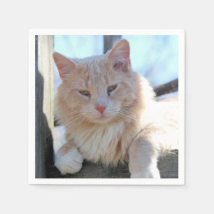 Cat Napkins