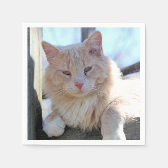 Cat Napkins (Front)