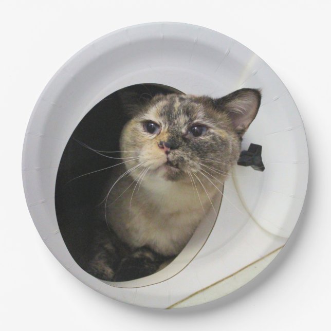Cat   napkins paper plates (Front)