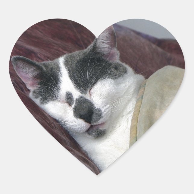 Cat Napping Heart Sticker (Front)