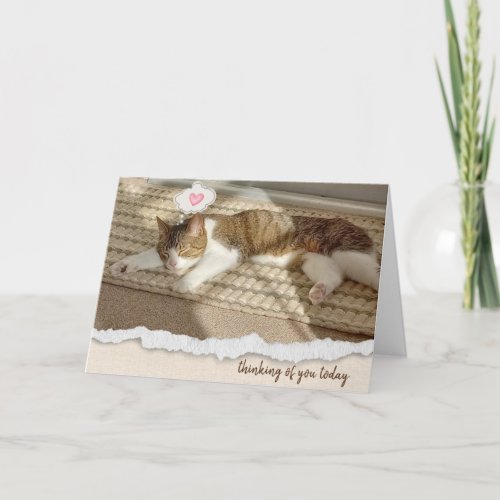 Cat Napping in Sunlight Thinking of You Holiday Card