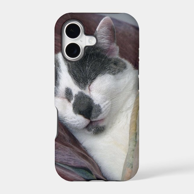 Cat Napping Iphone Case (Back)