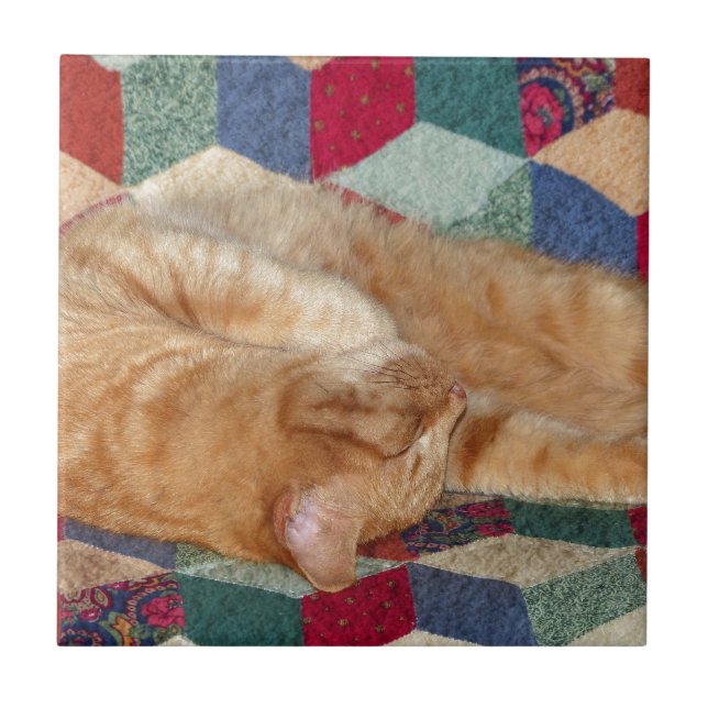 Cat Napping Tile (Front)