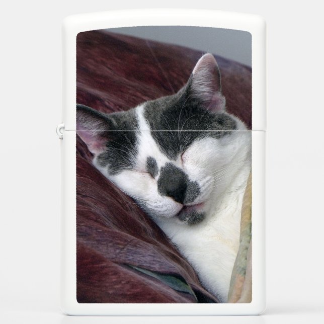 Cat Napping Zippo Lighter (Front)