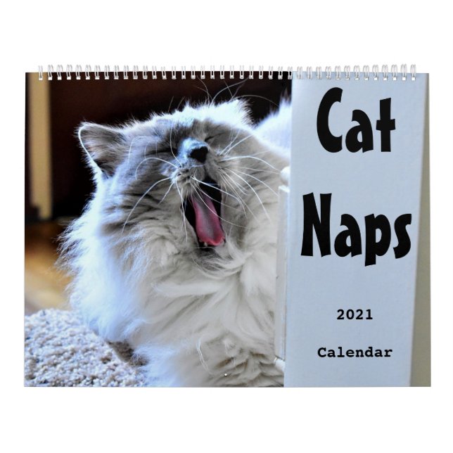 Cat Naps 2021 Calendar (Cover)