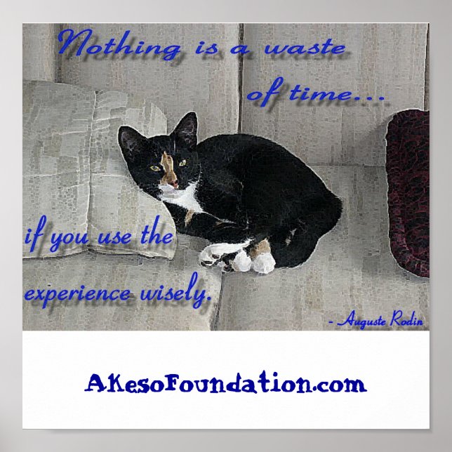 Cat Naps Poster (Front)