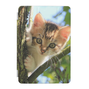 Cat, Nature, Kitten iPad Mini Cover