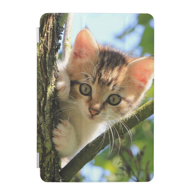 Cat, Nature, Kitten iPad Mini Cover (Front)