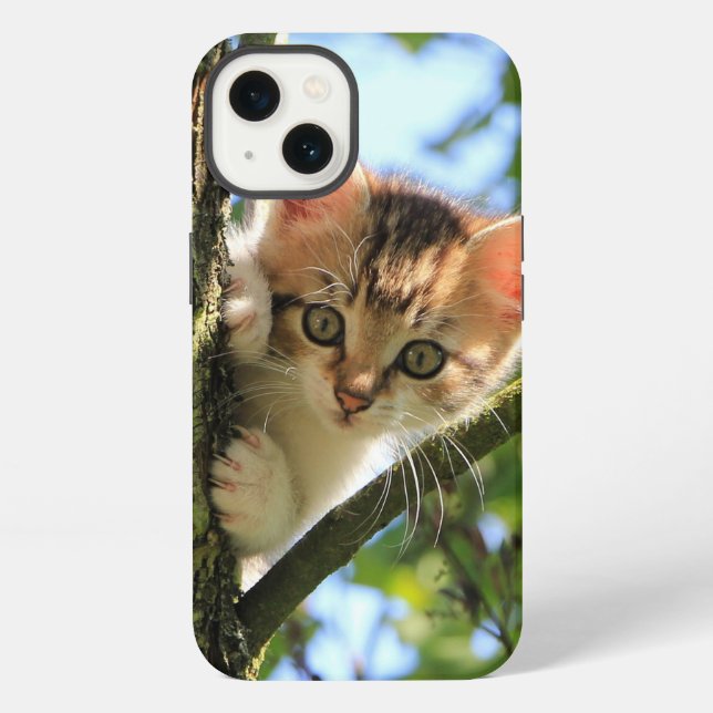 Cat, Nature, Kitten Iphone Case (Back)