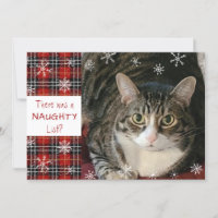 Cat Naughty List Plaid Snowflake Custom Greeting 