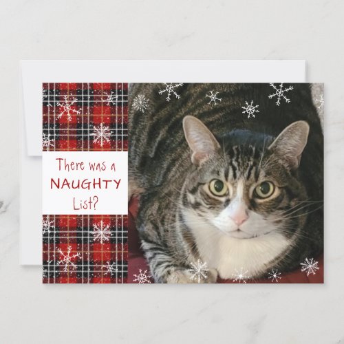 Cat Naughty List Plaid Snowflake Custom Greeting  Holiday Card