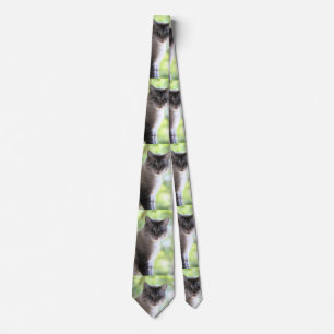 Cat Neck Tie