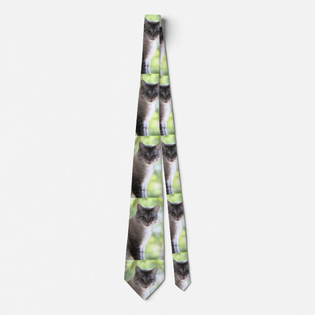 Cat Neck Tie (Front)