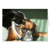 Cat Necklace (Front Horizontal)