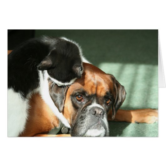 Cat Necklace (Front Horizontal)