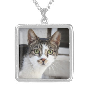 Cat Necklace