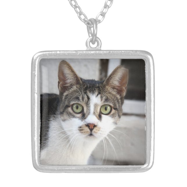 Cat Necklace (Front)