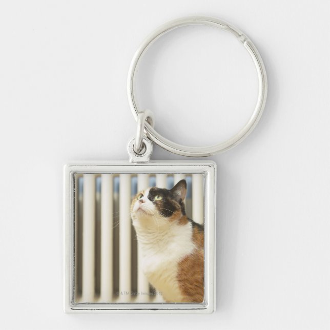 Cat next to radiator keychain (Front)