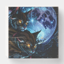 Cat Night