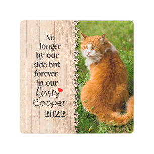 Cat No Longer By Our Side But Forever In Our Heart Metal Print