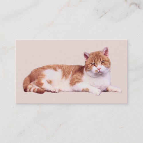Cat Nobody's Purrfect Business Card