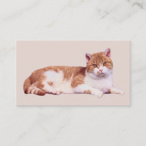 Customizable Cat Nobody's Purrfect Business Card