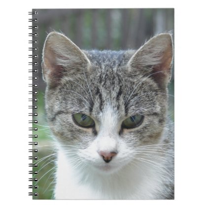 cat notebook