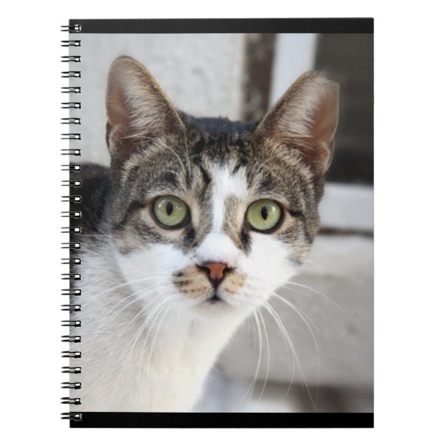 Cat Notebook (Front)