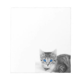 cat notepad