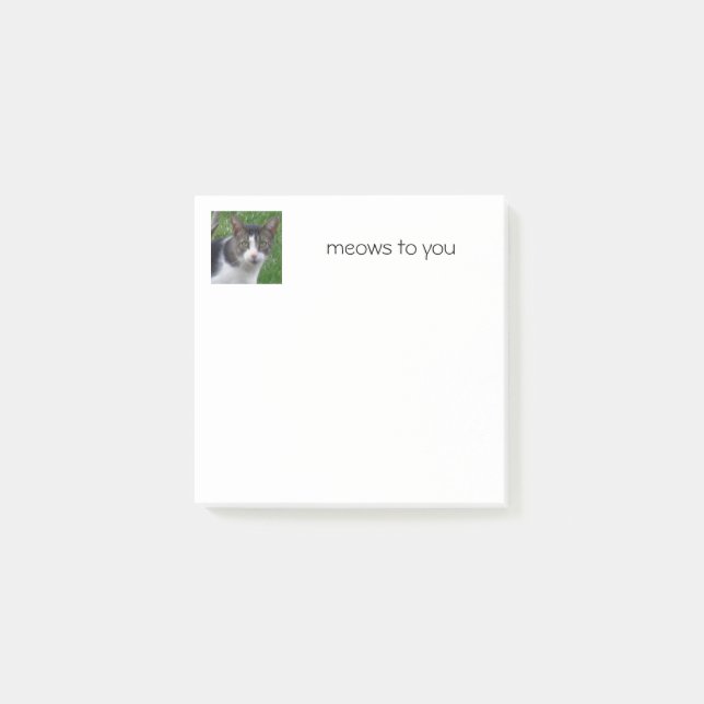 Cat Notes (Front)