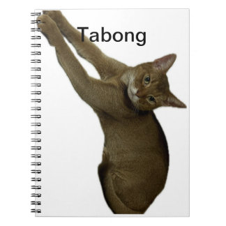 Cat notes notebook