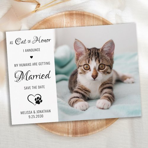  Cat Of Honor Personalized Pet Photo Cat Wedding Save The Date