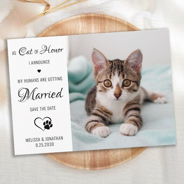  Cat Of Honor Personalized Pet Photo Cat Wedding Save The Date (Creator Uploaded)