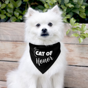 "Cat of Honor" Pet Bandana - Custom Wedding Collar