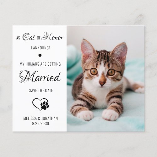 Cat Of Honor Pet Photo Cat Save The Date Cards