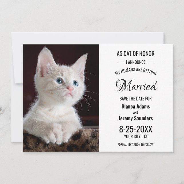 Cat of Honor Pet Photo Wedding Save The Date (Front)